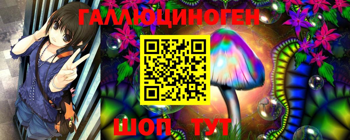 Псилоцибиновые грибы MAGIC MUSHROOMS  Вход с VPN  Тихорецк  где продают   Псилоцибиновые грибы Psilocybe 