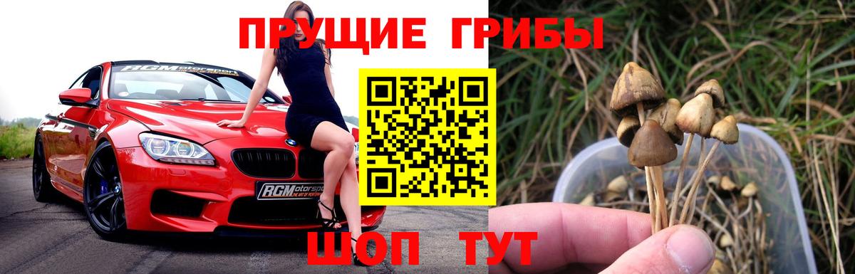 Псилоцибиновые грибы прущие грибы Тихорецк